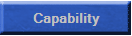 ICS Capability